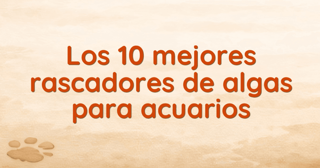 Los 10 mejores rascadores de algas para acuarios Los 10 mejores rascadores de algas para acuarios