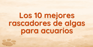 Los 10 mejores rascadores de algas para acuarios Los 10 mejores rascadores de algas para acuarios