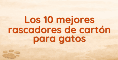 Los 10 mejores rascadores de cartón para gatos Los 10 mejores rascadores de cartón para gatos