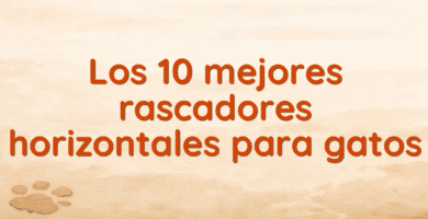 Los 10 mejores rascadores horizontales para gatos