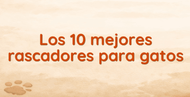 Los 10 mejores rascadores para gatos