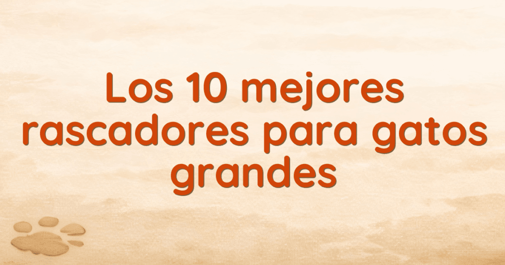 Los 10 mejores rascadores para gatos grandes Los 10 mejores rascadores para gatos grandes