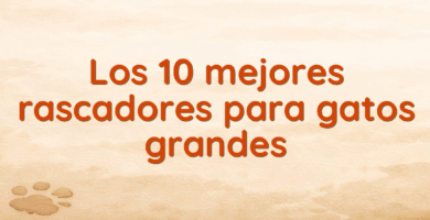 Los 10 mejores rascadores para gatos grandes Los 10 mejores rascadores para gatos grandes