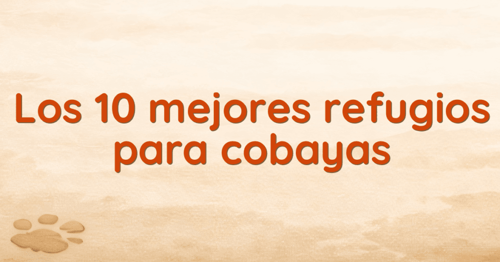 Los 10 mejores refugios para cobayas