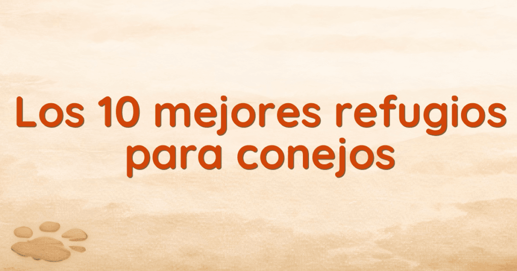Los 10 mejores refugios para conejos