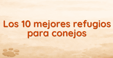 Los 10 mejores refugios para conejos