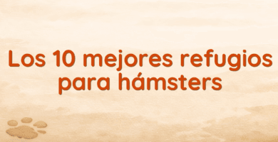 Los 10 mejores refugios para hámsters Los 10 mejores refugios para hámsters