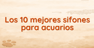 Los 10 mejores sifones para acuarios Los 10 mejores sifones para acuarios