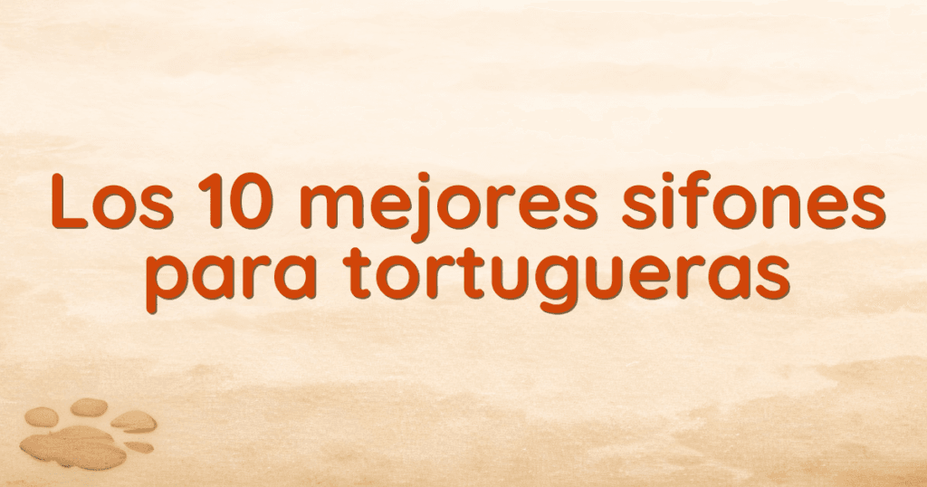 Los 10 mejores sifones para tortugueras Los 10 mejores sifones para tortugueras