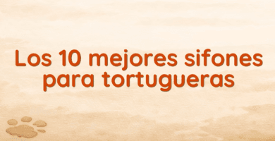 Los 10 mejores sifones para tortugueras