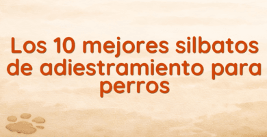 Los 10 mejores silbatos de adiestramiento para perros