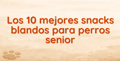 Los 10 mejores snacks blandos para perros senior