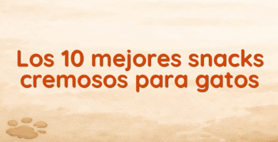 Los 10 mejores snacks cremosos para gatos