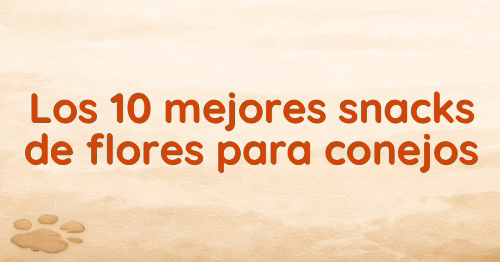 Los 10 mejores snacks de flores para conejos Los 10 mejores snacks de flores para conejos