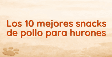 Los 10 mejores snacks de pollo para hurones