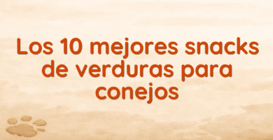 Los 10 mejores snacks de verduras para conejos