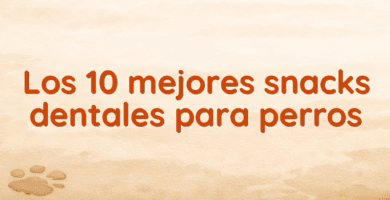 Los 10 mejores snacks dentales para perros Los 10 mejores snacks dentales para perros