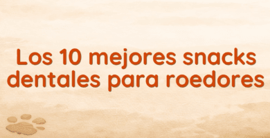 Los 10 mejores snacks dentales para roedores