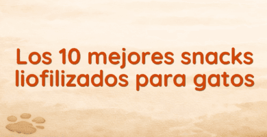 Los 10 mejores snacks liofilizados para gatos