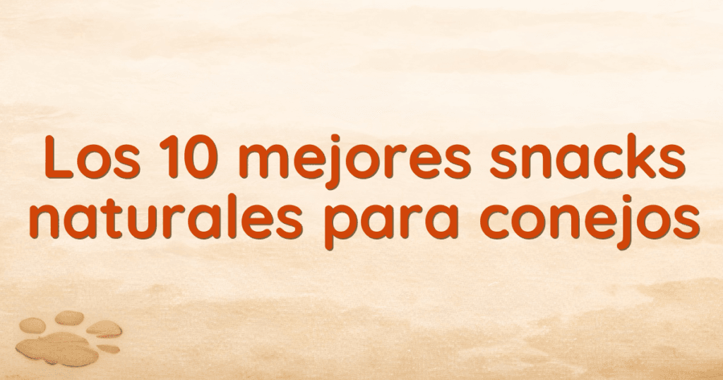 Los 10 mejores snacks naturales para conejos Los 10 mejores snacks naturales para conejos