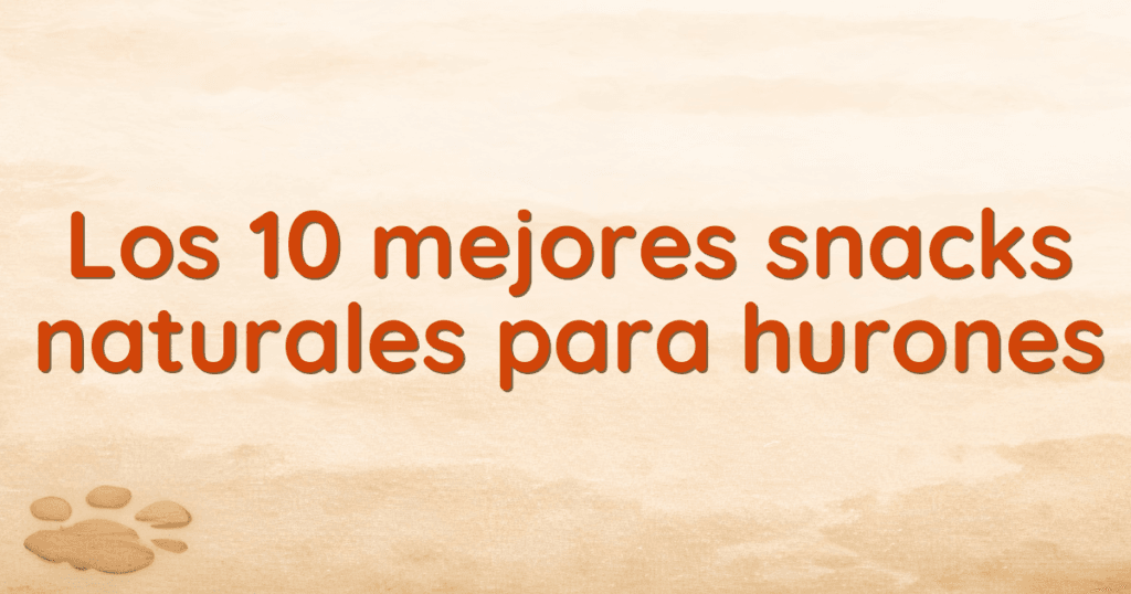 Los 10 mejores snacks naturales para hurones