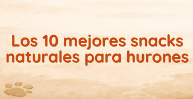 Los 10 mejores snacks naturales para hurones