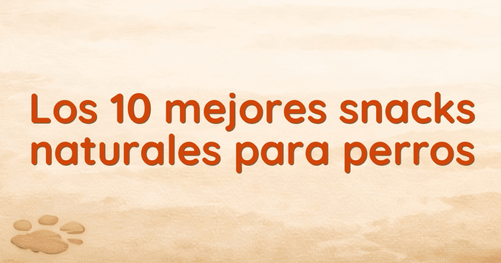 Los 10 mejores snacks naturales para perros Los 10 mejores snacks naturales para perros