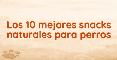 Los 10 mejores snacks naturales para perros Los 10 mejores snacks naturales para perros
