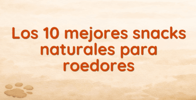 Los 10 mejores snacks naturales para roedores
