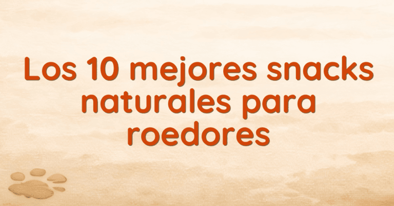 Los 10 mejores snacks naturales para roedores