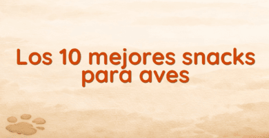 Los 10 mejores snacks para aves