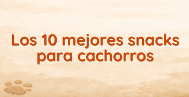 Los 10 mejores snacks para cachorros