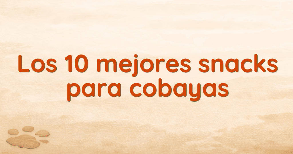 Los 10 mejores snacks para cobayas Los 10 mejores snacks para cobayas