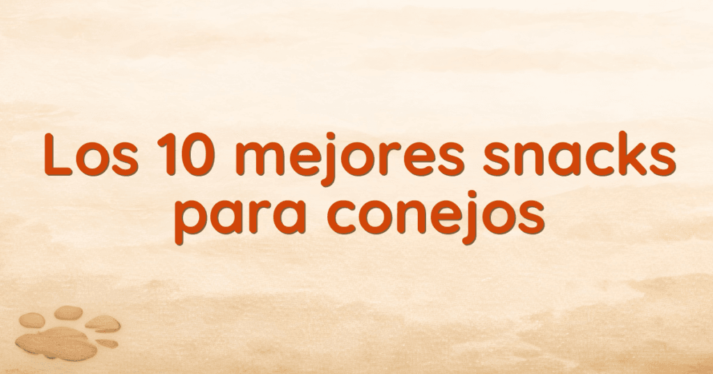 Los 10 mejores snacks para conejos
