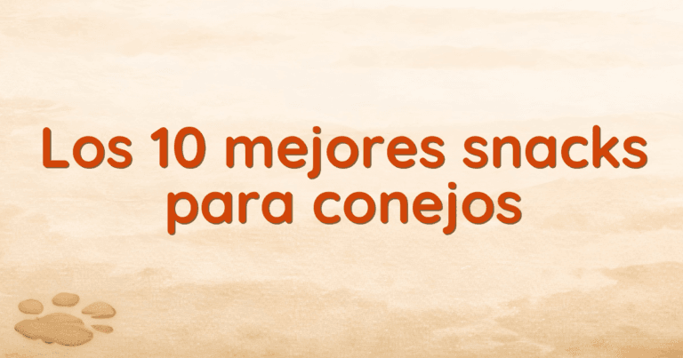 Los 10 mejores snacks para conejos