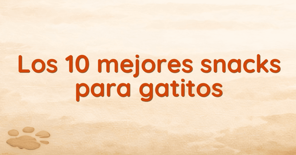 Los 10 mejores snacks para gatitos Los 10 mejores snacks para gatitos