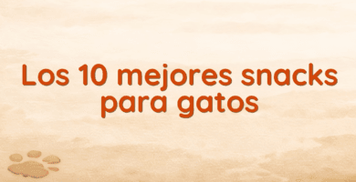 Los 10 mejores snacks para gatos