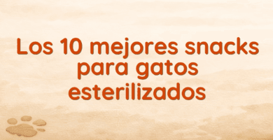 Los 10 mejores snacks para gatos esterilizados