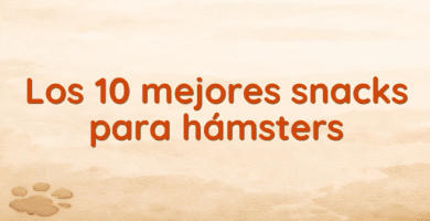 Los 10 mejores snacks para hámsters Los 10 mejores snacks para hámsters