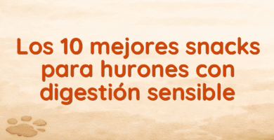 Los 10 mejores snacks para hurones con digestión sensible