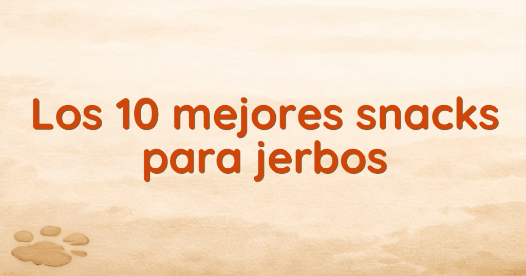 Los 10 mejores snacks para jerbos