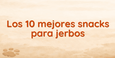 Los 10 mejores snacks para jerbos