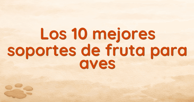 Los 10 mejores soportes de fruta para aves