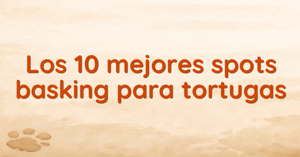 Los 10 mejores spots basking para tortugas