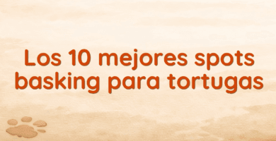 Los 10 mejores spots basking para tortugas