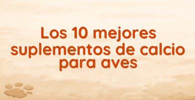 Los 10 mejores suplementos de calcio para aves Los 10 mejores suplementos de calcio para aves