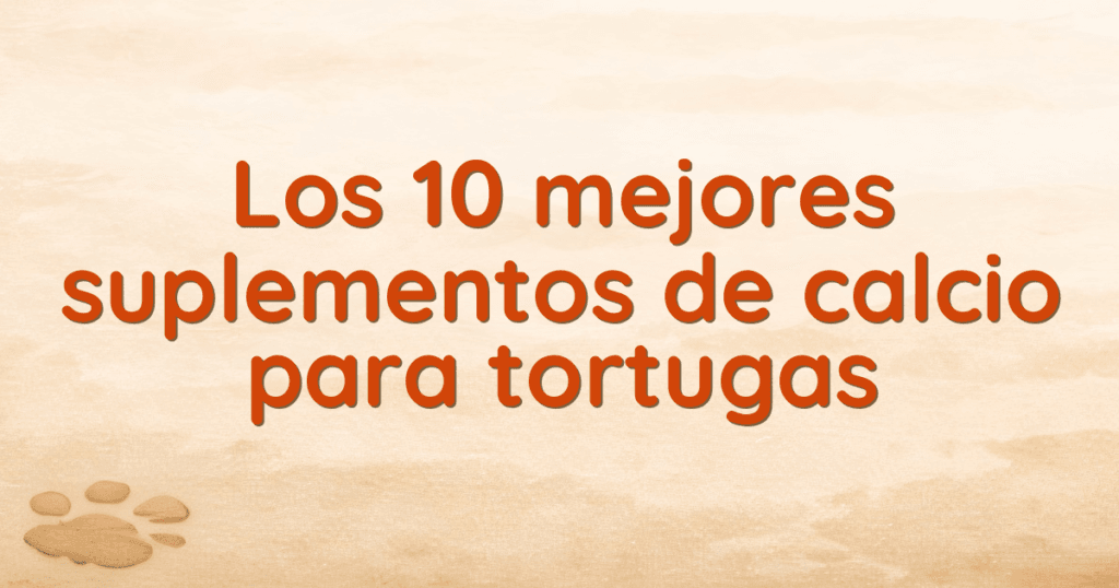Los 10 mejores suplementos de calcio para tortugas