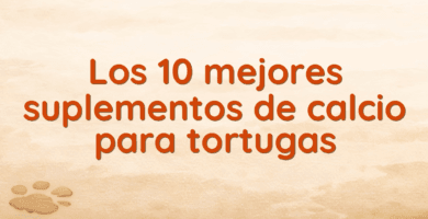 Los 10 mejores suplementos de calcio para tortugas