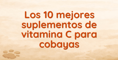 Los 10 mejores suplementos de vitamina C para cobayas