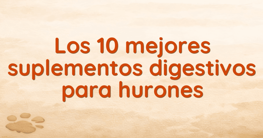 Los 10 mejores suplementos digestivos para hurones Los 10 mejores suplementos digestivos para hurones
